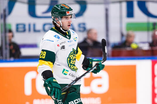 Björklövens Brandon Manning