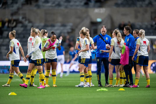 Players of Sweden