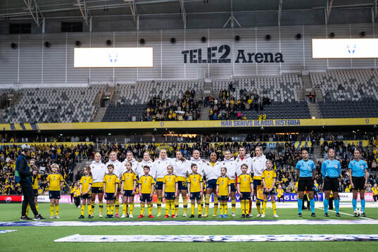 Players of Sweden