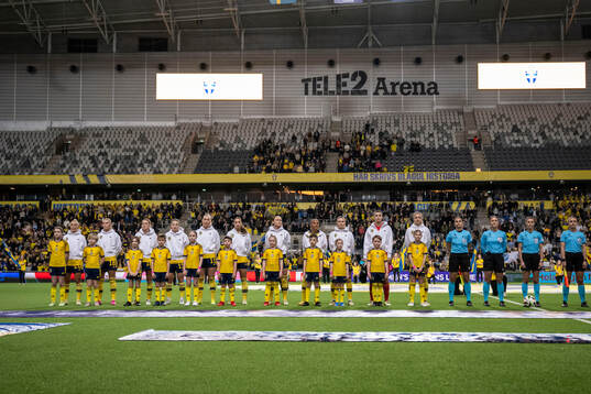 Players of Sweden