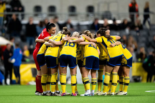 Players of Sweden