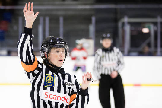 Domare Ida Henriksson
