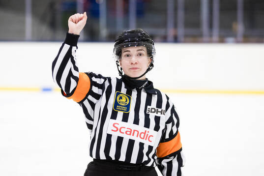 Domare Ida Henriksson