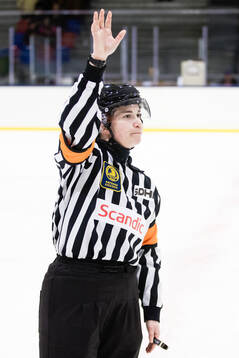 Domare Ida Henriksson