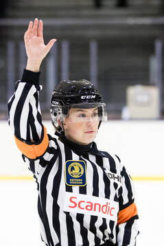 Domare Sabina Küller