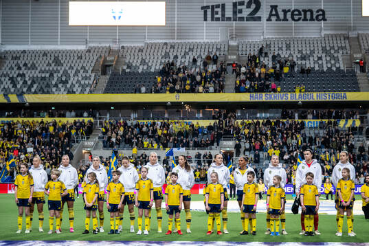 Players of Sweden