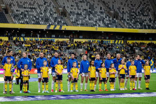 Players of Bosnia and Herzegovina