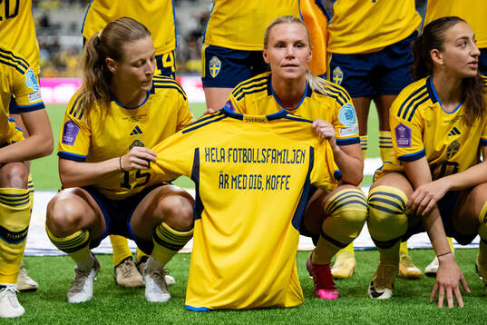 24028 The starting eleven of Sweden pose for a photo as