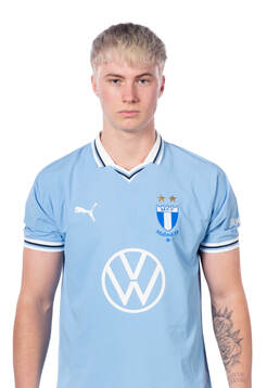 Malmös Daniel Gudjohnsen