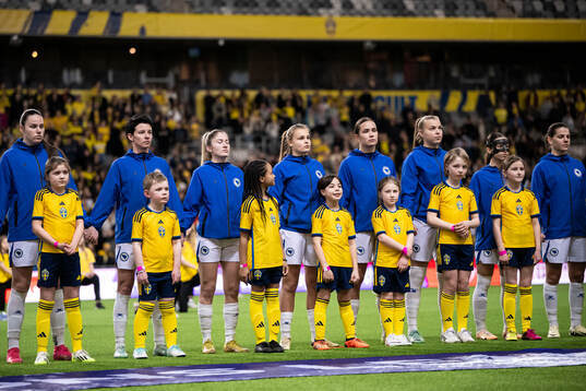 Players of Bosnia and Herzegovina