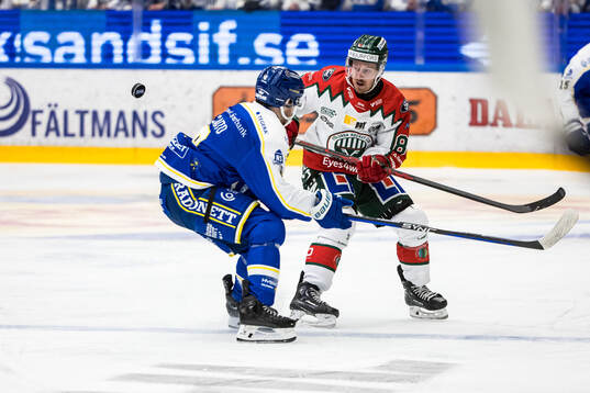 Frölundas Erik Thorell