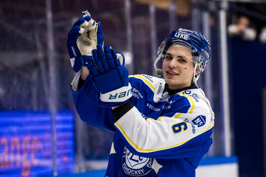 Leksands Alexander Lundqvist utsedd till matchens krigare