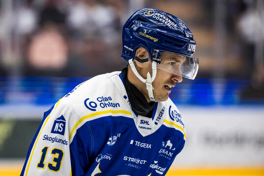 Leksands Jon Knuts