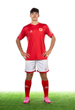 Kalmars Arvin Davoud Kia