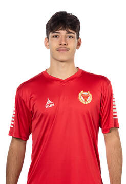 Kalmars Arvin Davoud Kia