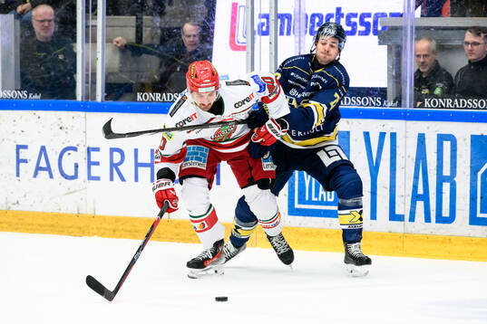 MoDos David Bernhardt och HV71s Nicholas Shore