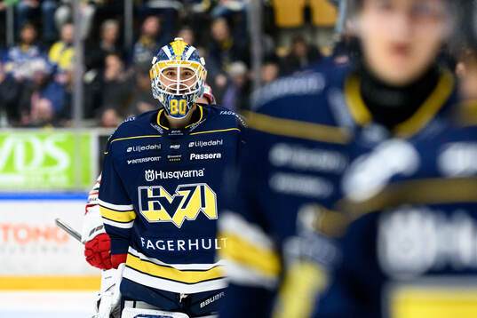 HV71s målvakt Frederik Dichow