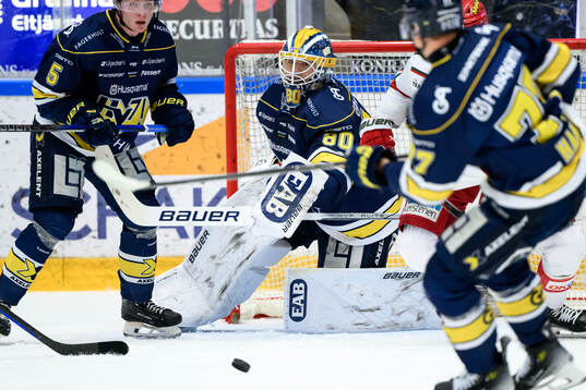 HV71s målvakt Frederik Dichow