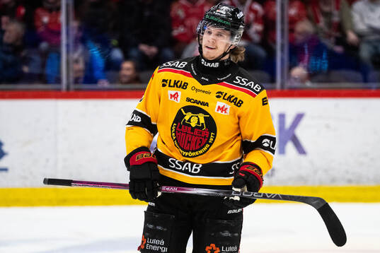 Luleås Marcus Hardegård deppar