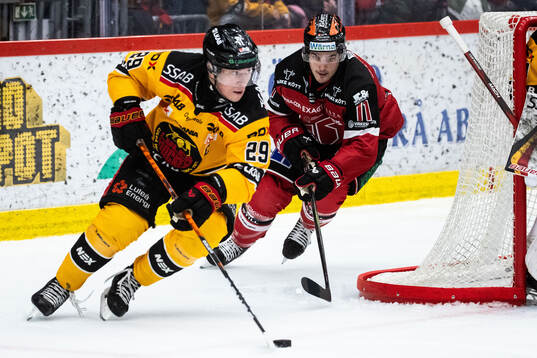 Luleås Erik Gustafsson och Örebros Danick Martel