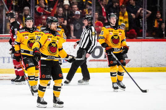 Luleås Brendan Shinnimin deppar