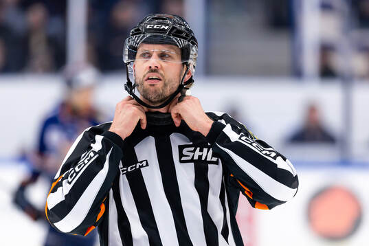 Domare Johan Magnusson