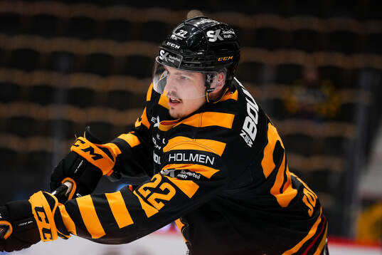 Skellefteås Jonathan Johnson