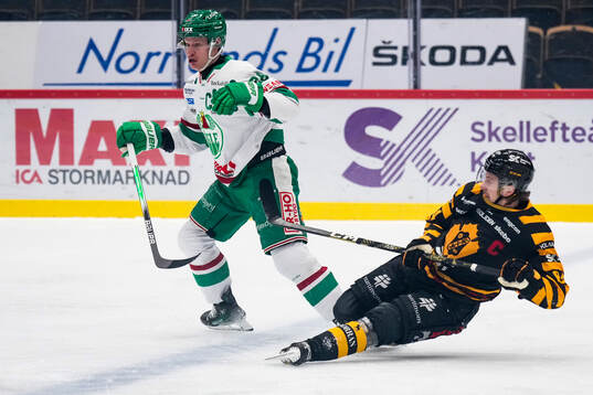 Rögles Anton Bengtsson och Skellefteås Jonathan Pudas