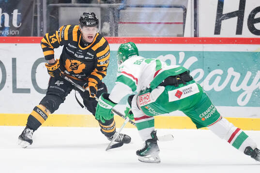 Skellefteås Andreas Johnson och Rögles Anton Bengtsson