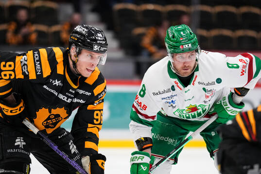 Skellefteås Rickard Hugg och Rögles Linus Sandin