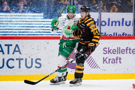 Rögles Henry Bowlby och Skellefteås Jonathan Pudas