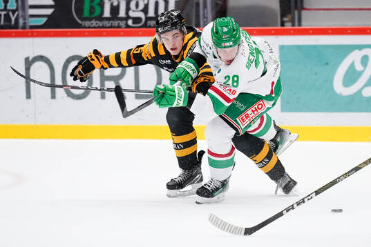 Skellefteås Axel Sandin Pellikka och Rögles Anton