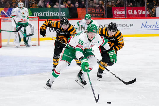 Rögles Adam Engström