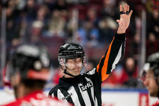 Domare Richard Magnusson
