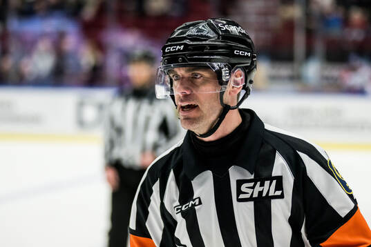 Domare Richard Magnusson