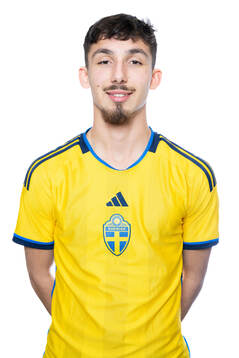 Bläddra bland fler bilder av Fotboll, Sverige, P18, porträtt 