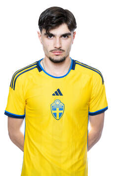 Nikola Mitrovic
