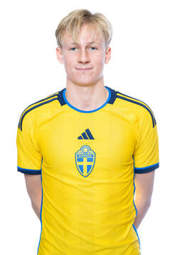 Johan Brådenmark