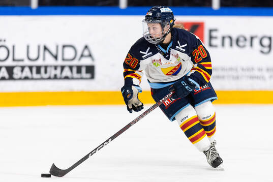 Djurgårdens Brette Pettet