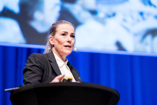 Anna Nordström Carlsson, Marknadschef