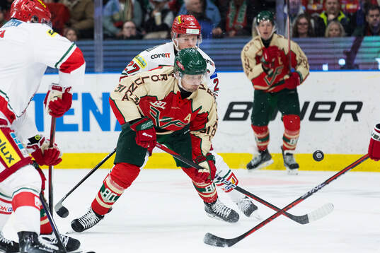 Bläddra bland fler bilder av Ishockey, SHL, Frölunda - Modo