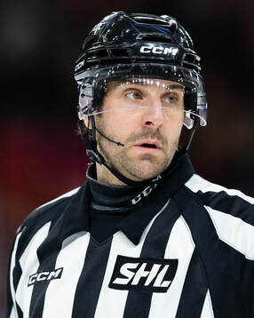 Domare Mikael Sjöqvist