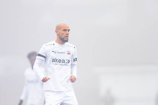 Helsingborgs Sumar Almadjed