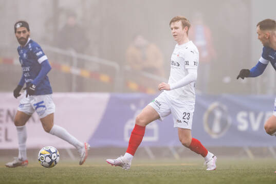 Helsingborgs William Westerlund