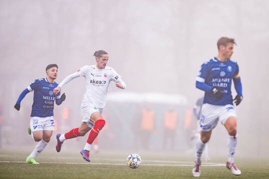 Helsingborgs Ervin Gigovic