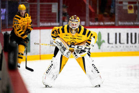 Skellefteås målvakt Linus Söderström
