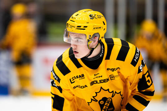 Skellefteås Axel Sandin Pellikka