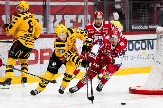 Bläddra bland fler bilder av Ishockey, SHL, Timrå - Skellefteå