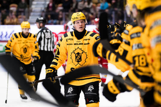 Skellefteås Anton Heikkinen jublar