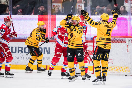 Skellefteås Anton Heikkinen jublar